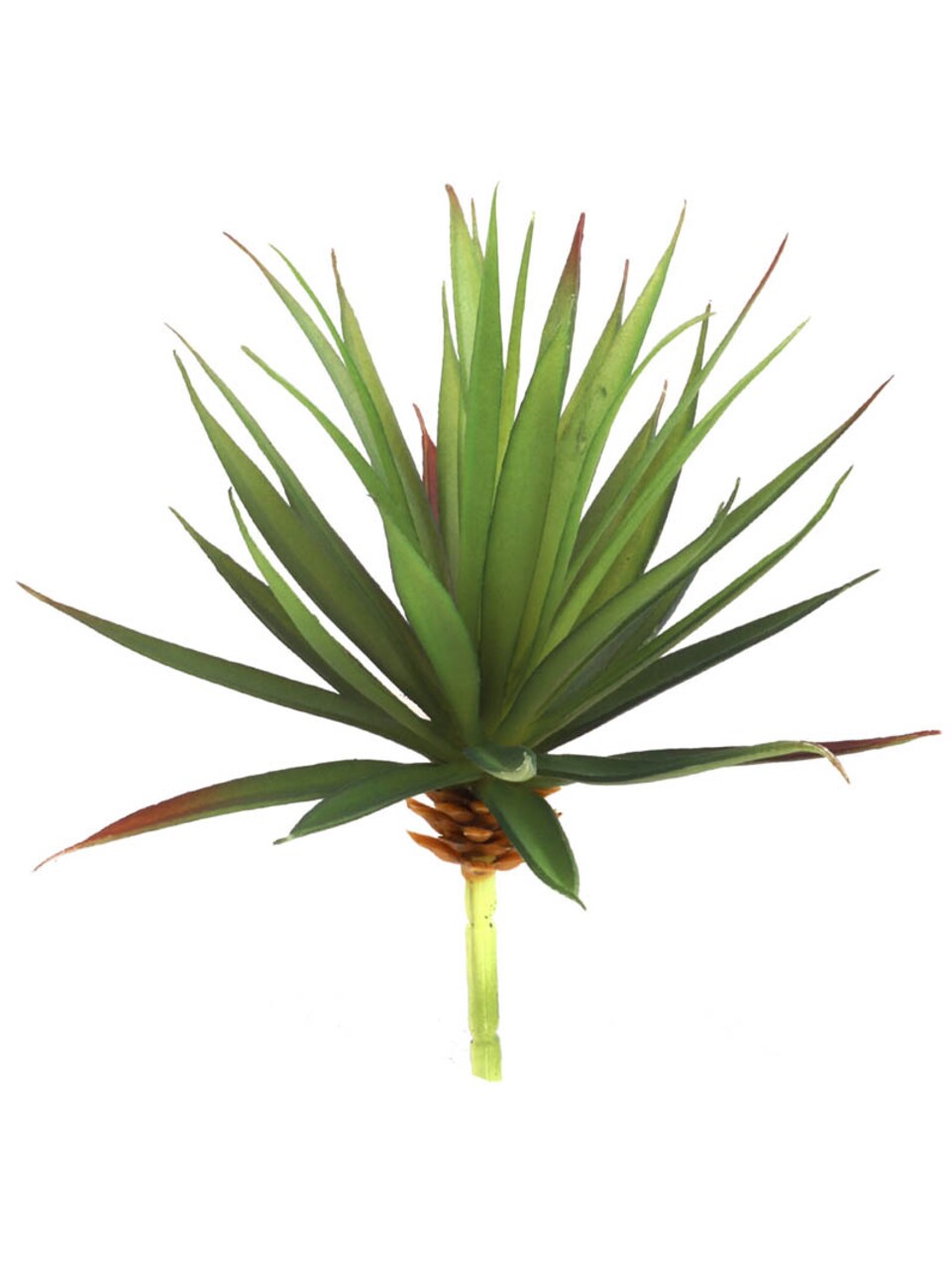 24-Pack: Real Touch Agave Succulent Plant, 6.5" Wide by Floral Home®